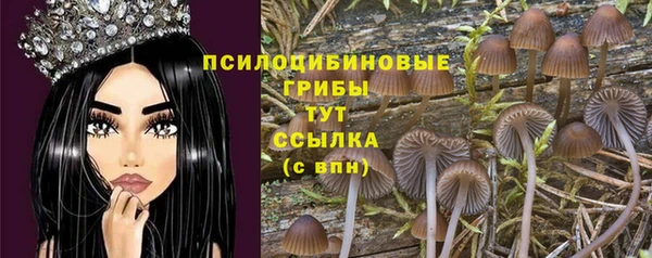 apvp Белоозёрский