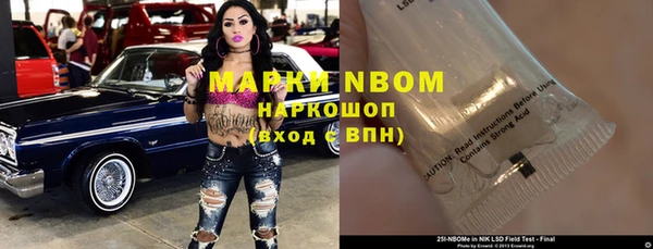 прущие грибы Ступино